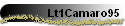 Lt1Camaro95