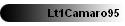 Lt1Camaro95