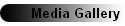 Media Gallery